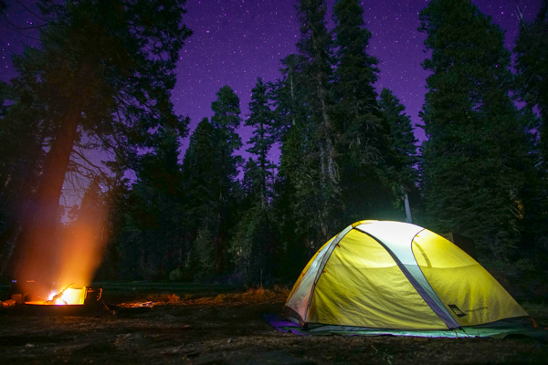 Sequoia Camping